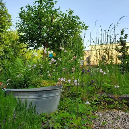 Donauwelle Sigmaringendorf