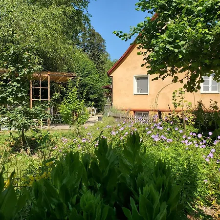 Donauwelle * Sigmaringendorf